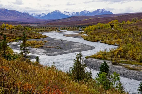 Savage River Campground - Denali National Park