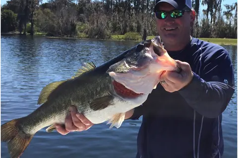 Camp Mack, A Guy Harvey Lodge, Marina, and RV Resort