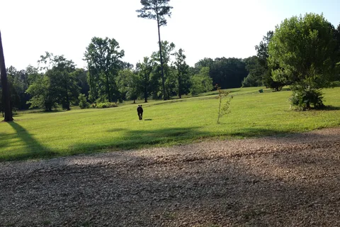Country Dogs RV Park