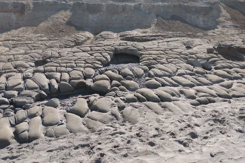 Beverly Beach State Park