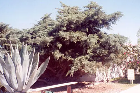 Lordsburg KOA Journey