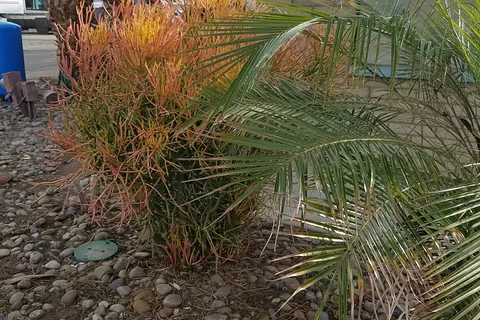 Glenaire MH and RV Park