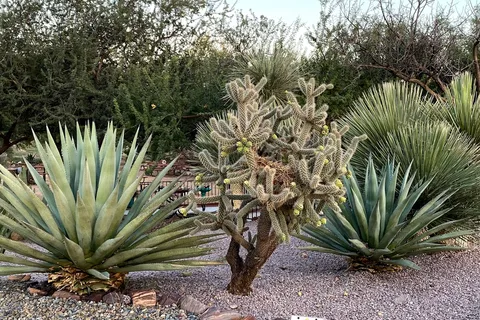 CT RV Resort