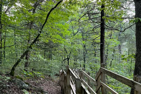 Campground 2 - Roaring River State Park