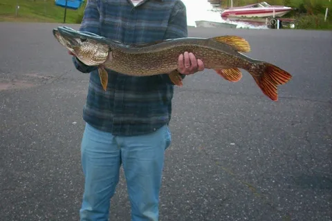 Nelson Lake Landing and RV Park