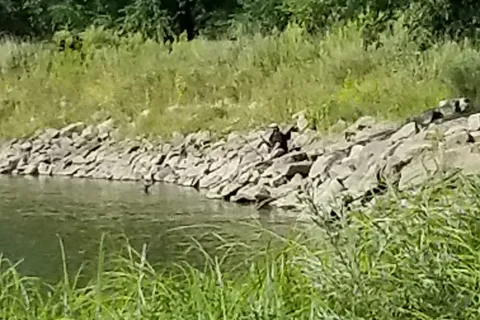 Cedar River Campground