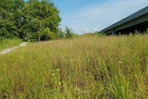 Cedar River Campground