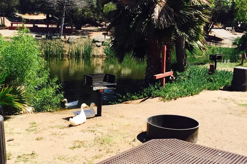 Lilac Oaks Campground