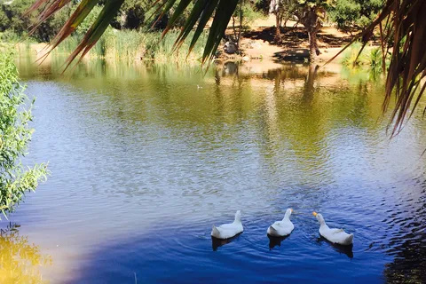 Lilac Oaks Campground
