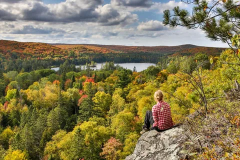 Parc provincial Algonquin