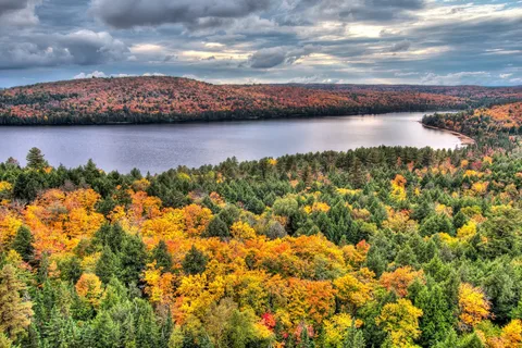 Parc provincial Algonquin
