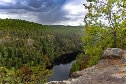 Parc provincial Algonquin