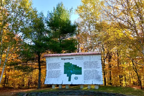 Parc provincial Algonquin