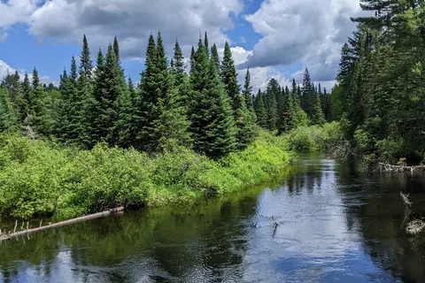 Parc provincial Algonquin