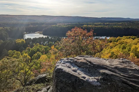 Parc provincial Algonquin
