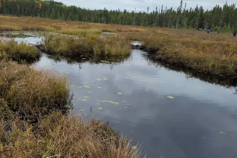 Parc provincial Algonquin