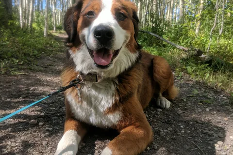 Charlie Lake Provincial Park