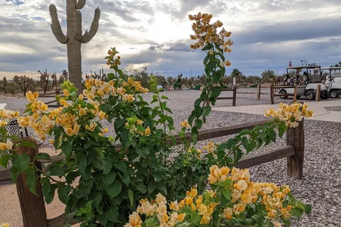 Desert Gardens RV Park