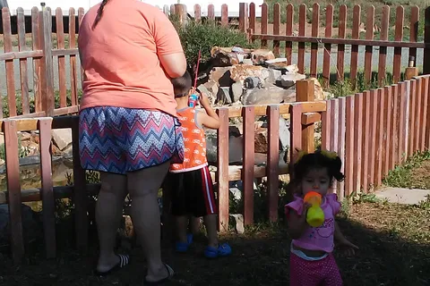 Stone Mountain RV Park & Resort