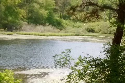 Sandy Pond Campground