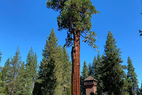 Ed Z'berg Sugar Pine Point State Park