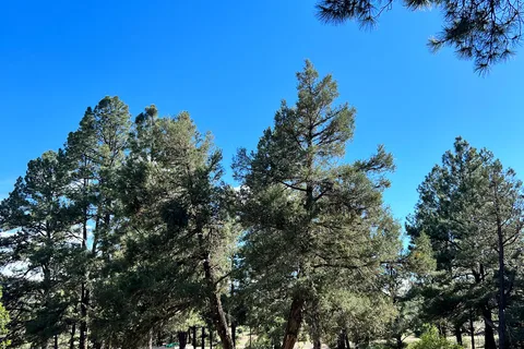 Lake Capote Recreational Area Ute Indians