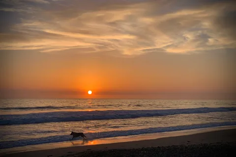 San Clemente State Beach