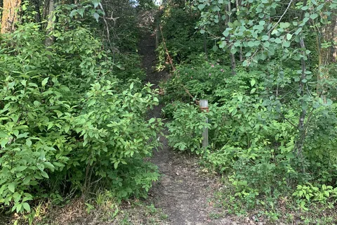 Wilson's Beach Campground