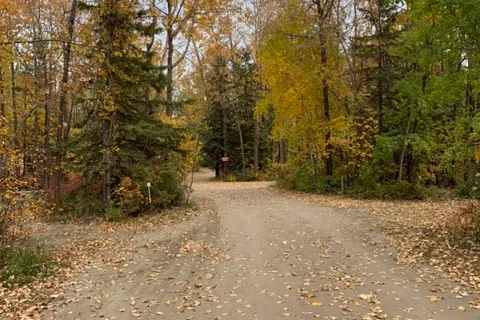 Wilson's Beach Campground