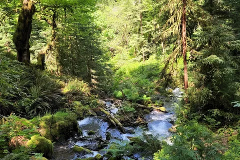 Alfred A Loeb State Park