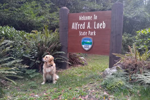 Alfred A Loeb State Park