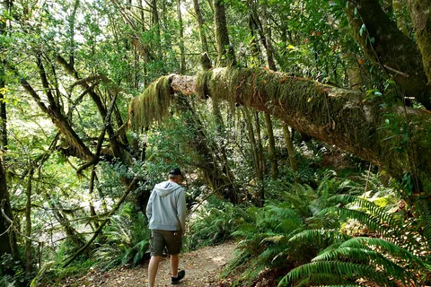 Alfred A Loeb State Park