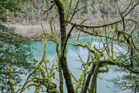 Alfred A Loeb State Park