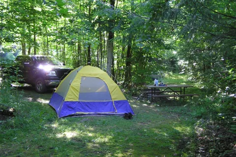 Brewster River Campground