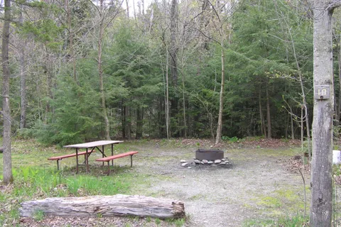 Brewster River Campground