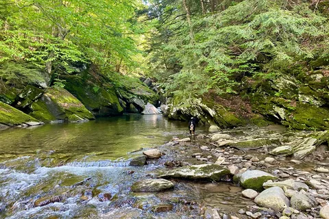 Brewster River Campground