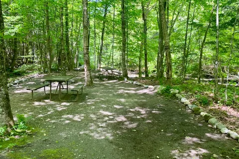 Brewster River Campground