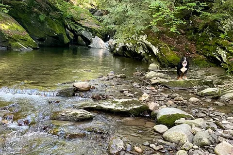 Brewster River Campground