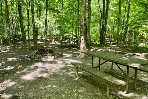 Brewster River Campground