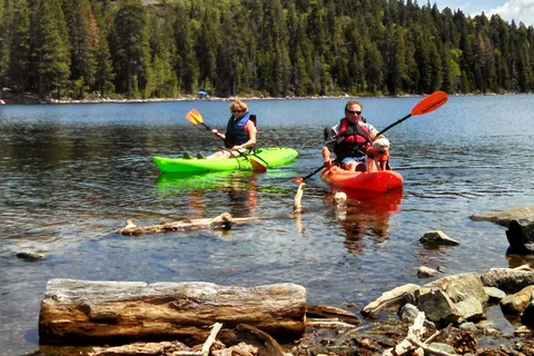 Lodgepole - PGE