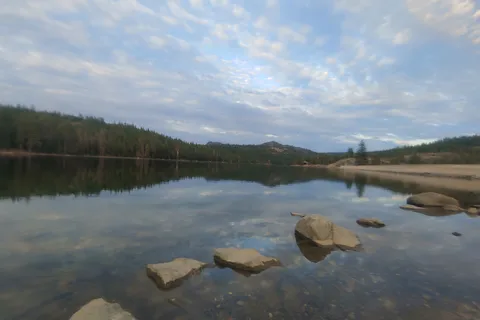 Lodgepole - PGE