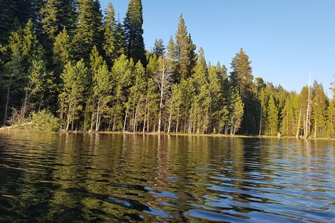 Lodgepole - PGE