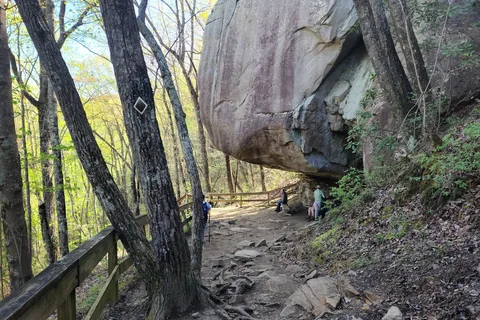 West Rim - Cloudland Canyon State Park