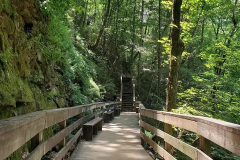 West Rim - Cloudland Canyon State Park
