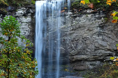 West Rim - Cloudland Canyon State Park