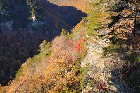 West Rim - Cloudland Canyon State Park