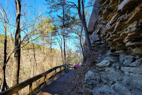 West Rim - Cloudland Canyon State Park