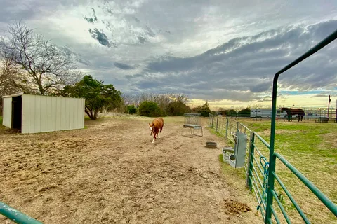 Hooves N Wheels RV Park and Horse Motel