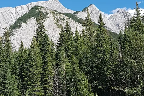 Jasper Gates Resort and RV