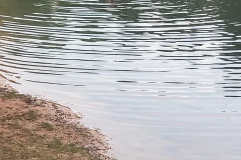 Dune Lake Campground